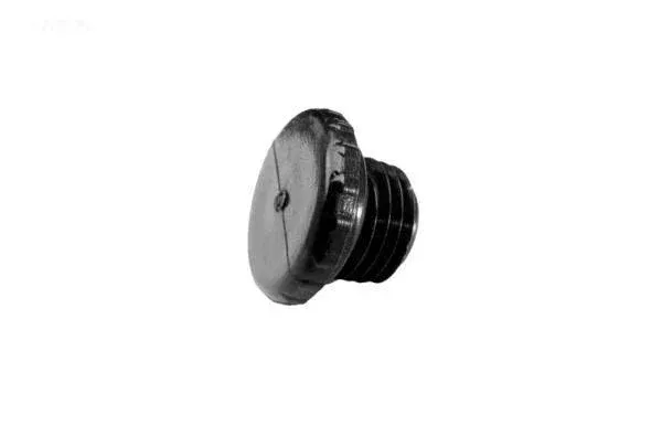 Access plug, 1/4" earlier models