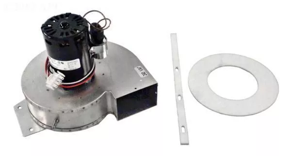 Combustion Blower, 240V