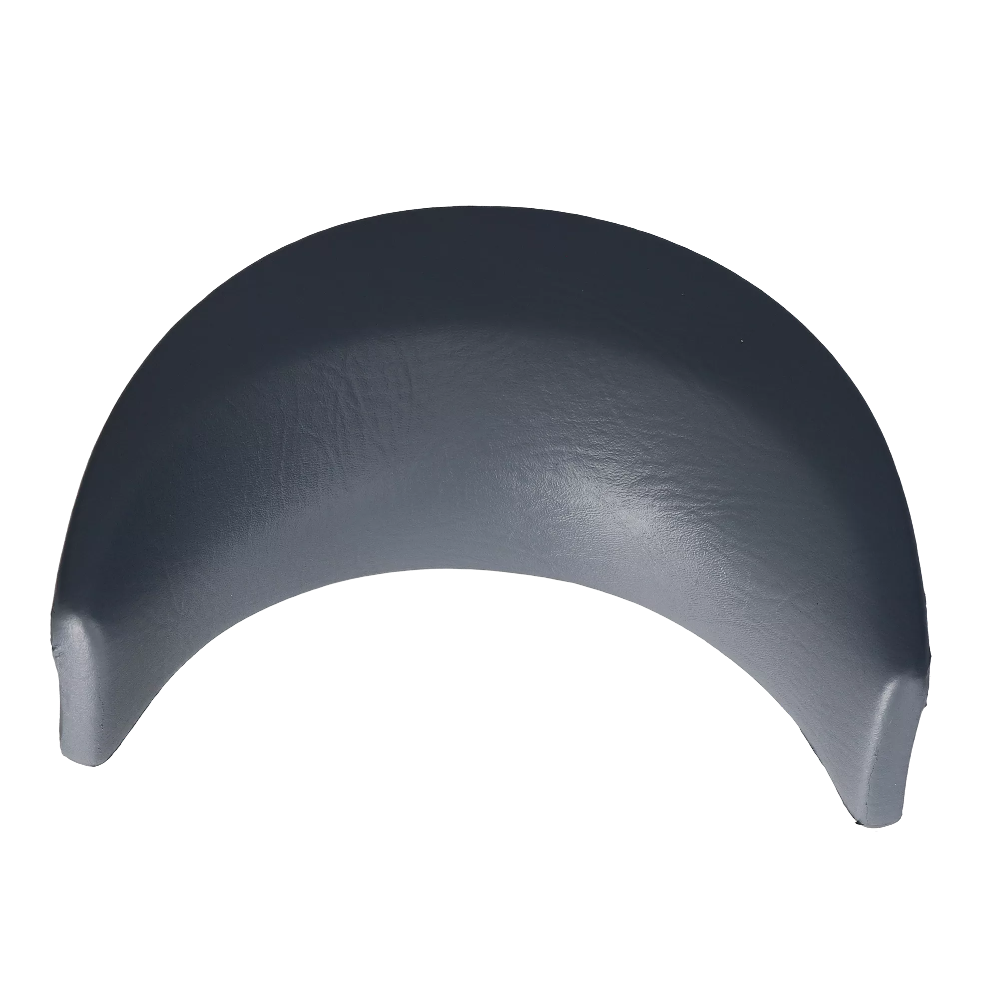 Dynasty Pillow S01995SIL