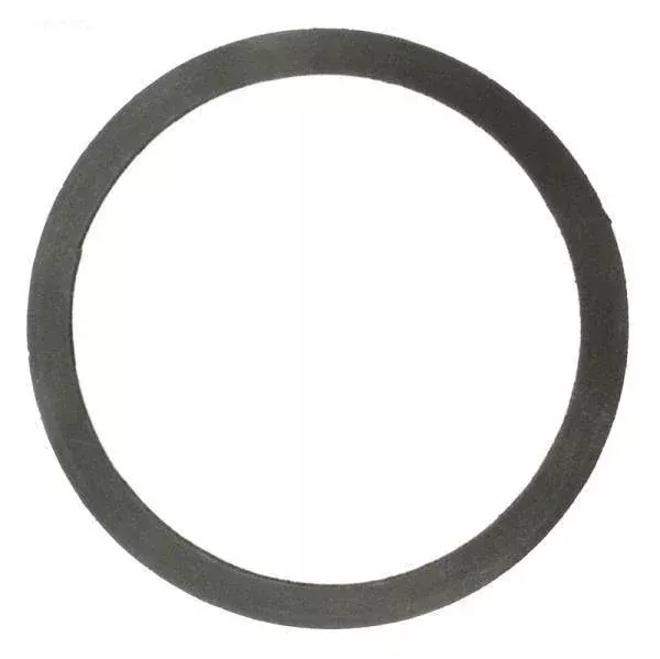 Gasket, Index Plate