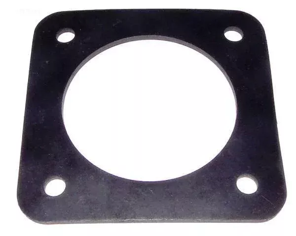 Gasket, Rubber, Skinny, Pump