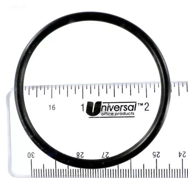 Gasket, Strainer body