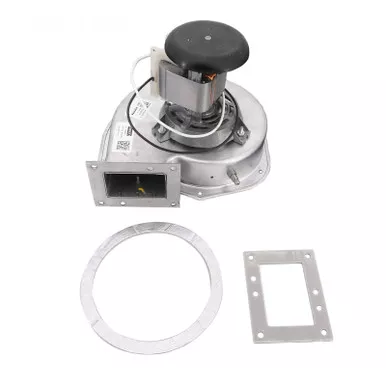 Hayward FDXLBWR1930 H-Series Low Nox FD Combustion Blower