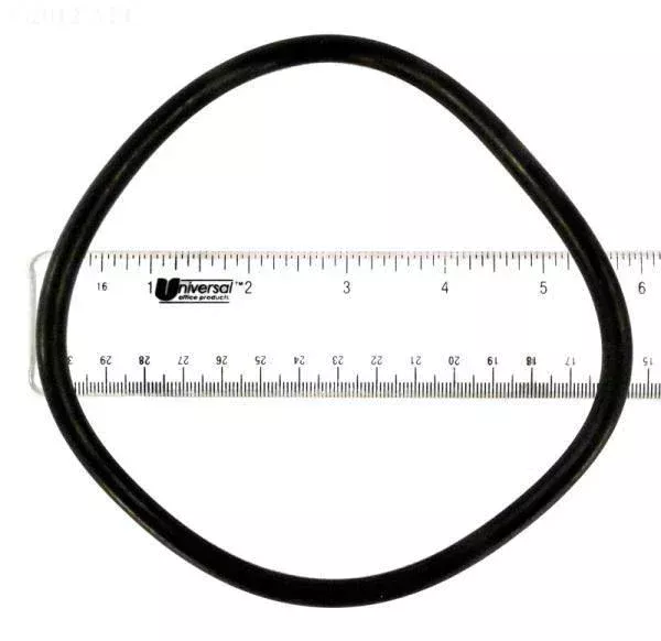 Lid O-Ring