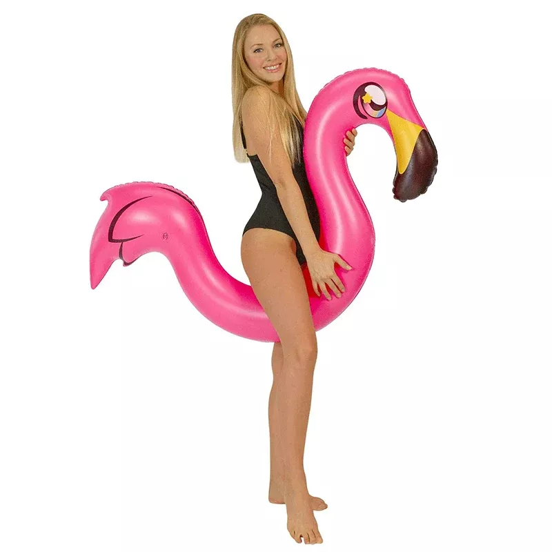 Nouille gonflable flamant rose