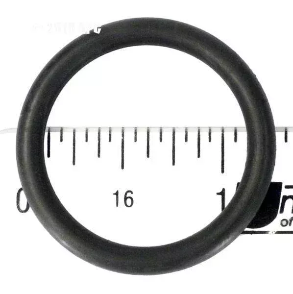 O-Ring, Cleaner-Connector