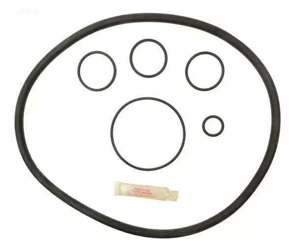 O-Ring & Gasket Kit