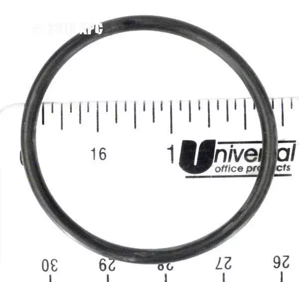 O-Ring, In-Line Filter