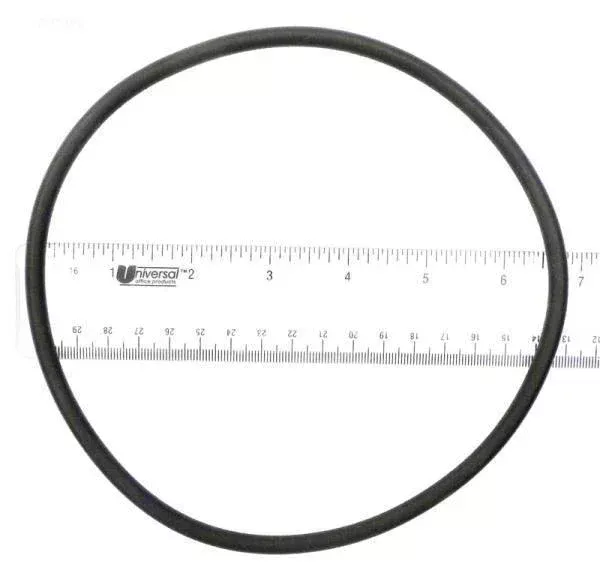 O-Ring, lid(a)