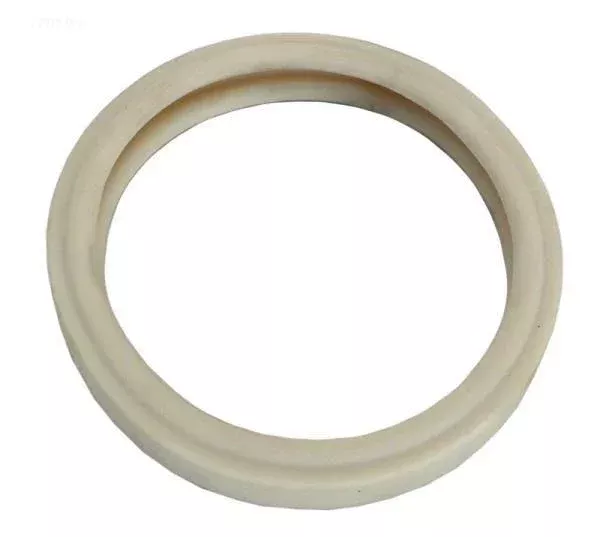 Pentair Lens Gasket, 4"
