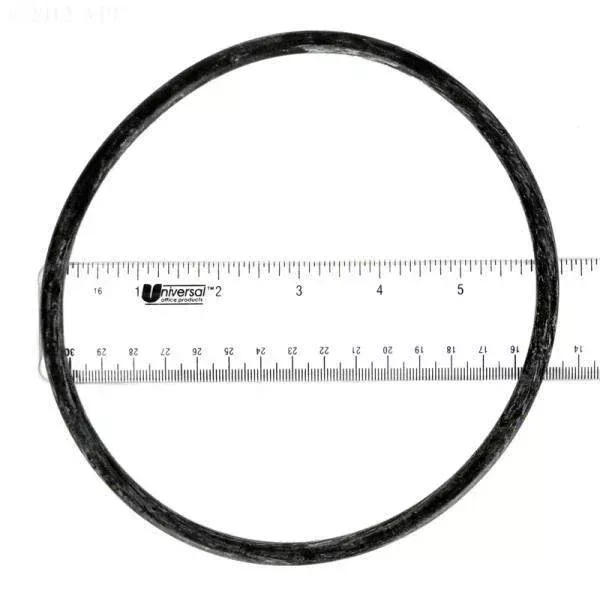 Pentair O-Ring, Pot Flange