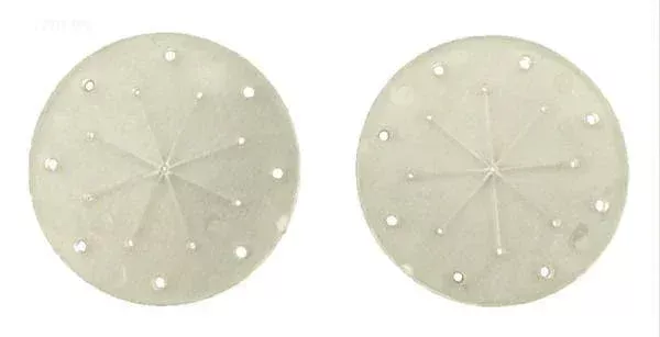 Polaris Bypass Disk