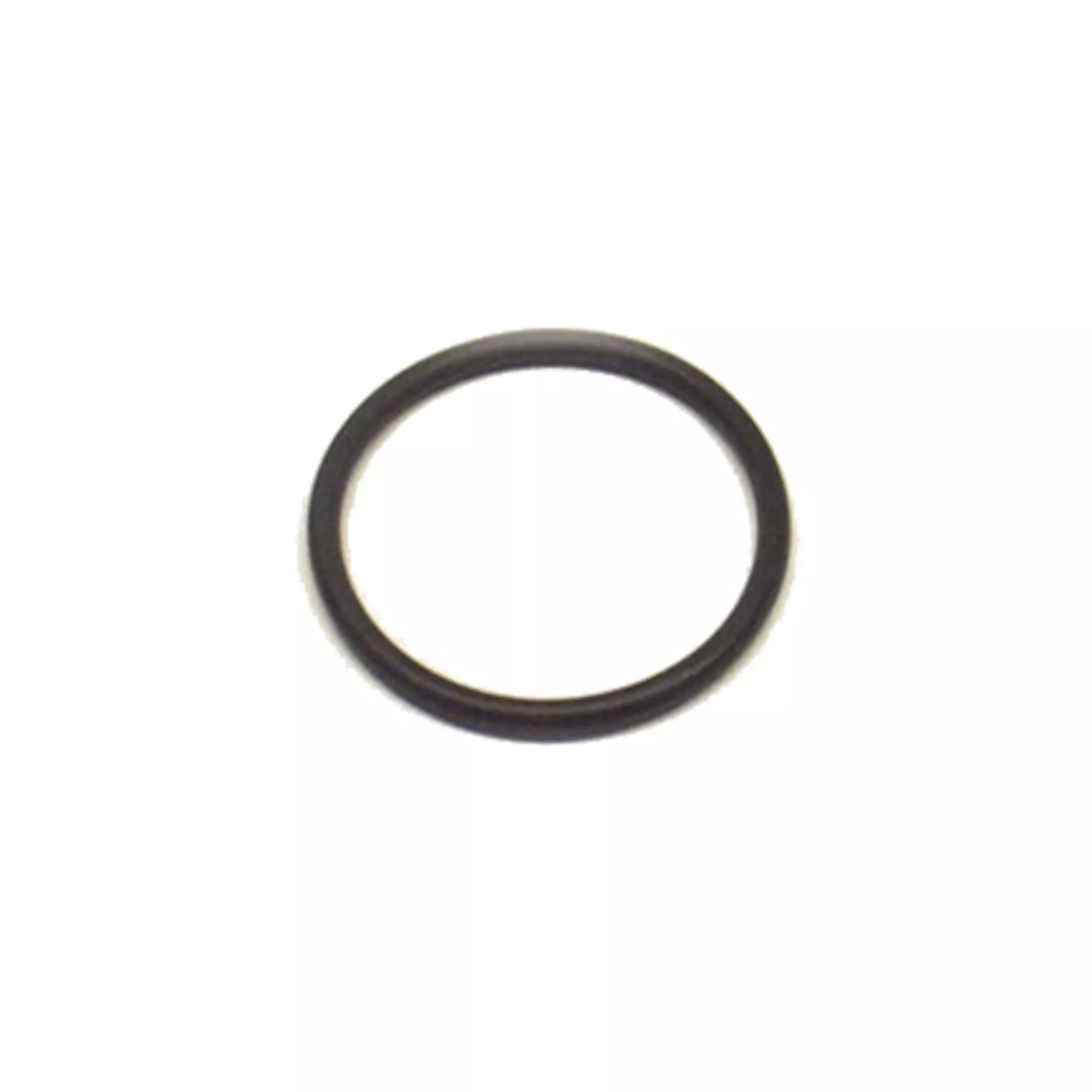 Sundance Jacuzzi Heater Split Nut O-Ring 6000-001