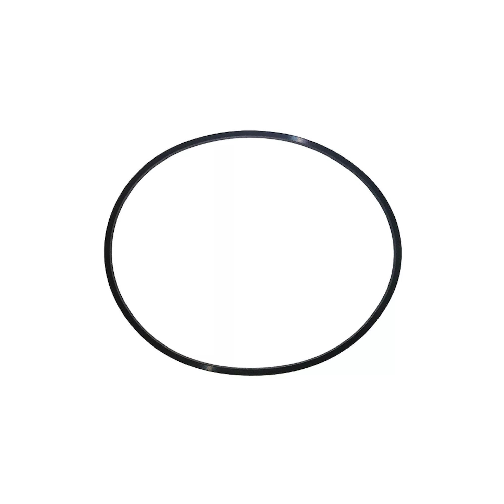 Sundance Jacuzzi O-Ring 6540-991