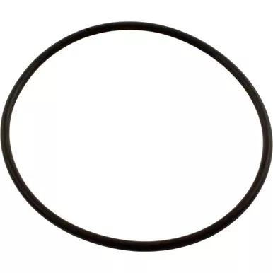 Waterway 805-0239 Swing Valve O-Ring