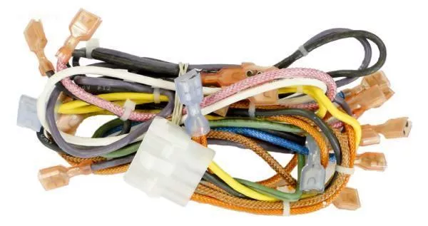 Wire Harness, Main DS